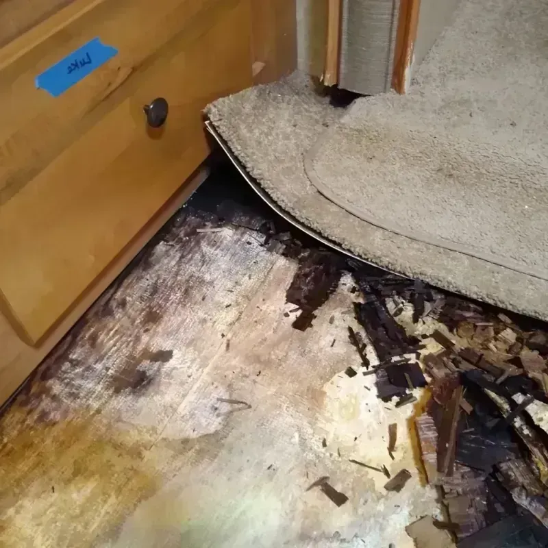 Wood Floor Water Damage in Cedar Bluff, AL